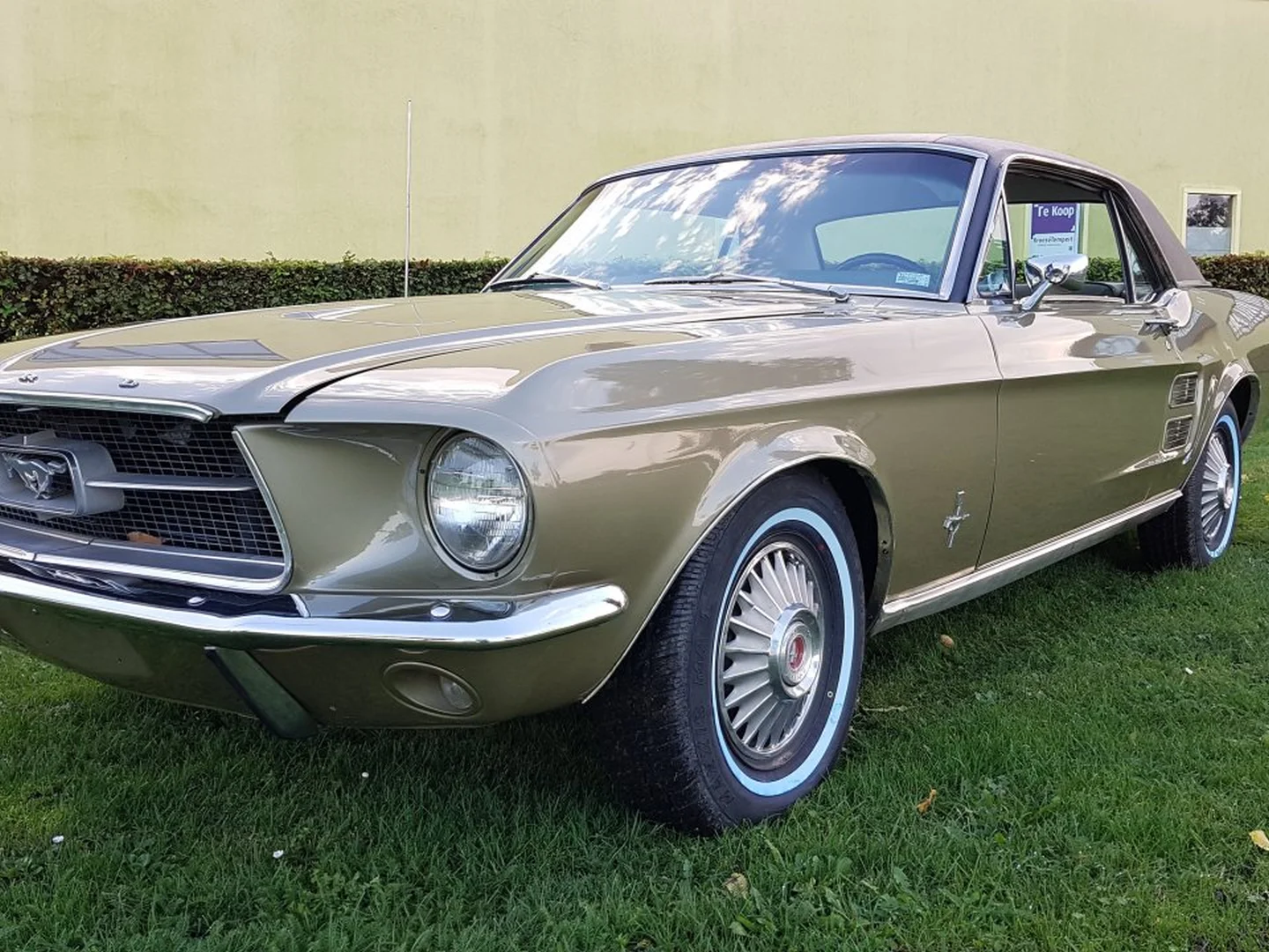 Heideveld Classics - Ford Mustang Coupe 1967